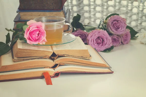 Livres anciens avec fleur de rose — Photo
