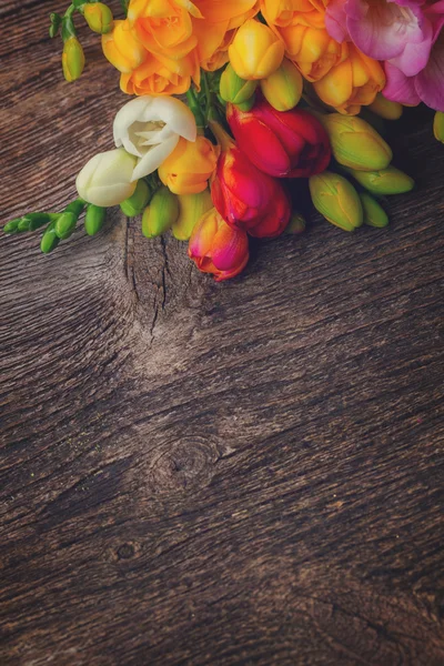 Fresh freesia flowers — Stock Photo, Image