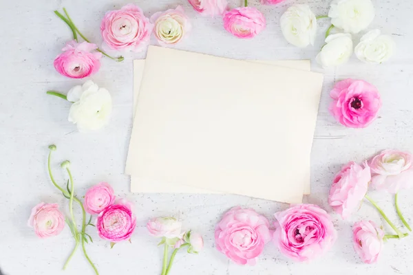 Flores de ranúnculo rosa e branco — Fotografia de Stock