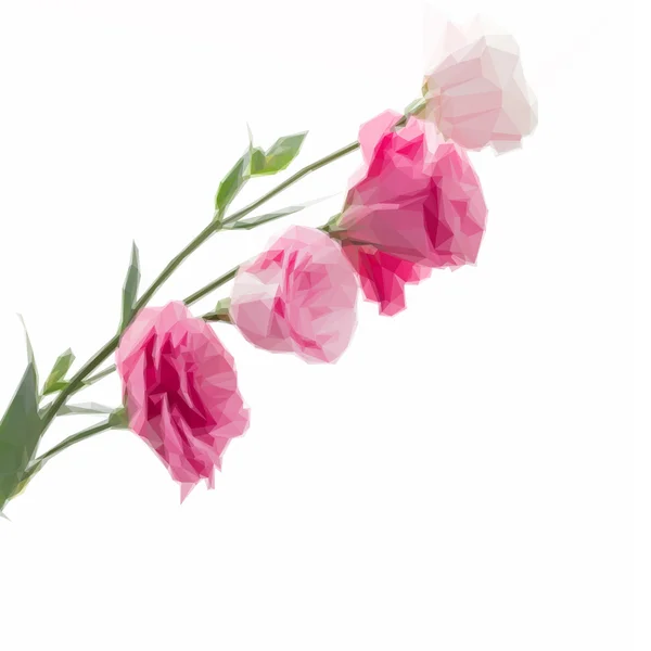 Gren av rosa Eustomor blommor — Stock vektor