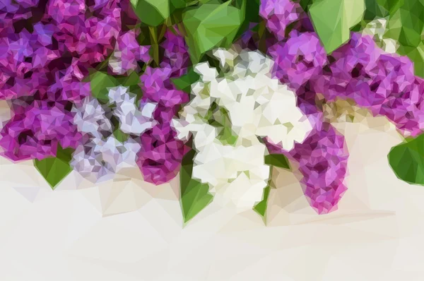 Bouquet de lilas frais — Image vectorielle