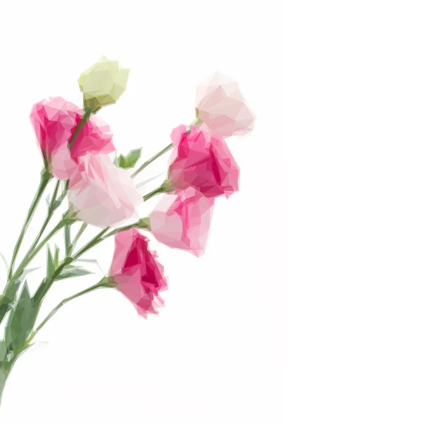 Primo piano di fiori di eustoma rosa — Vettoriale Stock