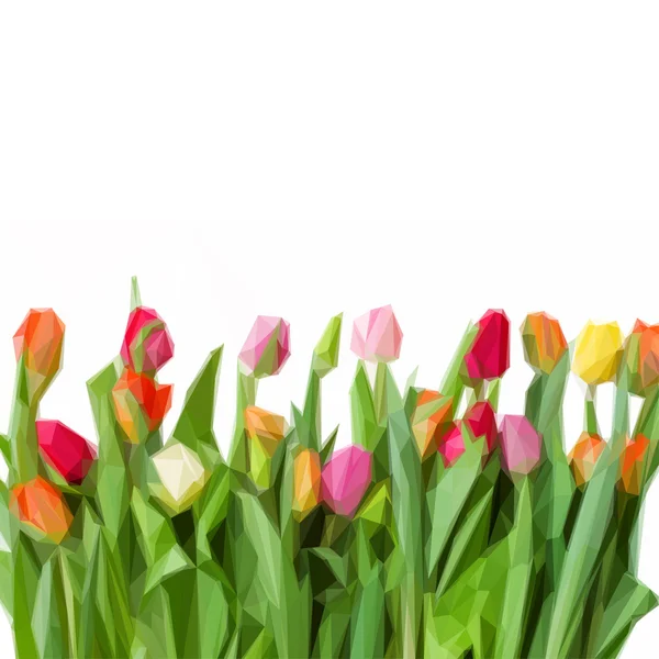 Bordure des tulipes printanières — Image vectorielle