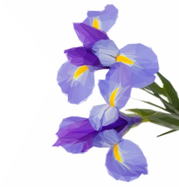 Irissen blauwe bloemen — Stockvector