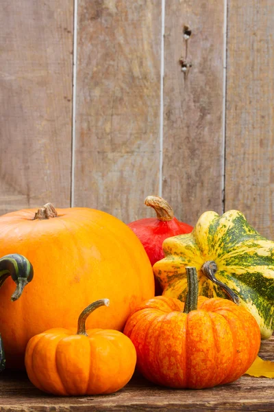 Pumpkin on table — Stock Photo, Image