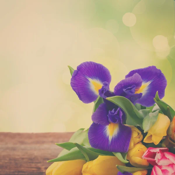 Tulipani primaverili e iris — Foto Stock