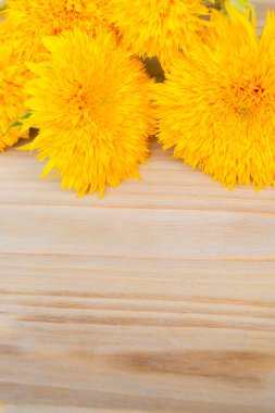 Sarı sonbahar ayçiçeği