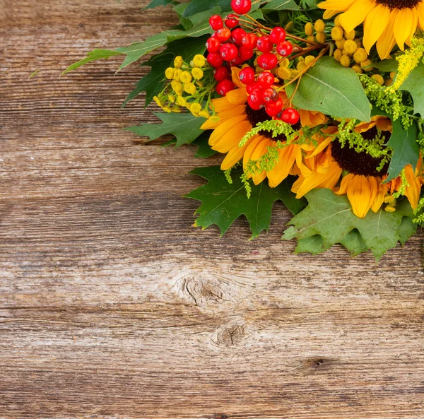 Sunflowers with green leaves — Stock Photo, Image