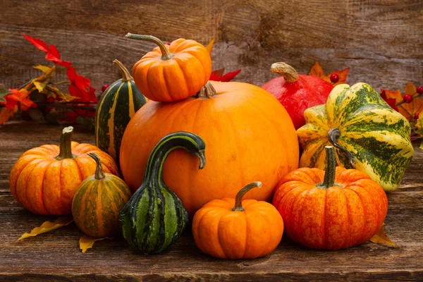 Calabaza en la mesa —  Fotos de Stock