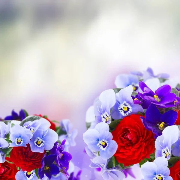 スミレ、パンジー、ラナンキュラスの花束 — ストック写真