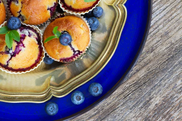 Cupcakes with blueberry — Stock Photo, Image