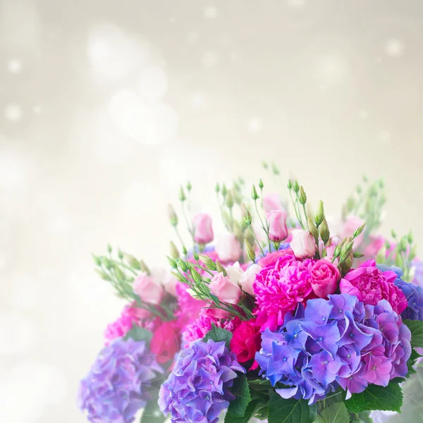 Bright pink and blue flowers — Stock Photo, Image