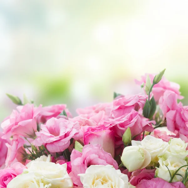 Bouquet di rose fresche — Foto Stock