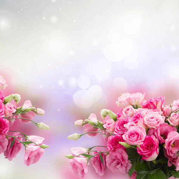 Bouquet of fresh roses — Stock Photo, Image