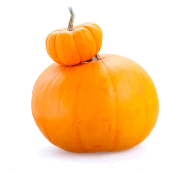 Two Orange Pumpkins Isolated White Background — Stock Photo, Image