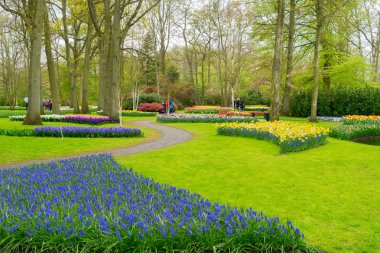 Hollanda Resmi Bahçesinde Renkli Çiçek Yatakları ve Sarmal Yol