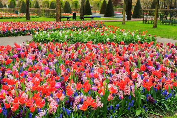 Parterres Fleurs Colorés Sentier Sinueux Dans Jardin Formel Printanier — Photo