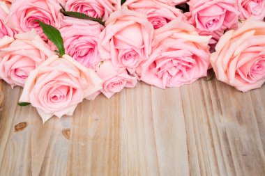 Ahşap üzerine Pembe çiçek açan gül