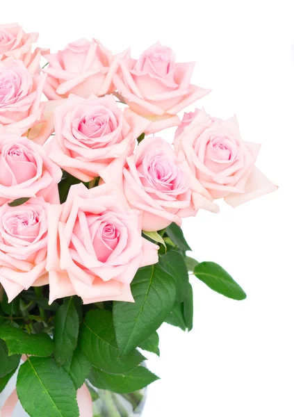 Pink blooming roses — Stock Photo, Image