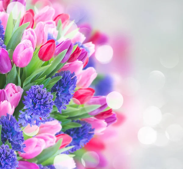Bouquet di giacinto blu e tulipani — Foto Stock