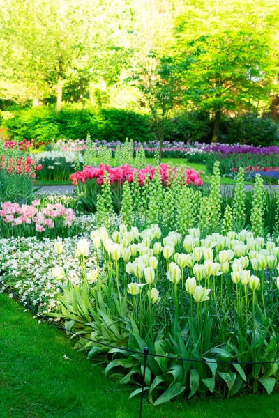 Gramado fresco com flores — Fotografia de Stock