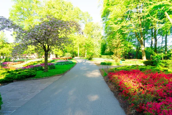 Formell vårträdgård — Stockfoto