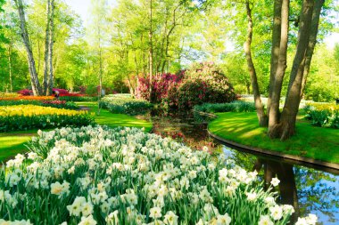 Çiçekli taze çimen