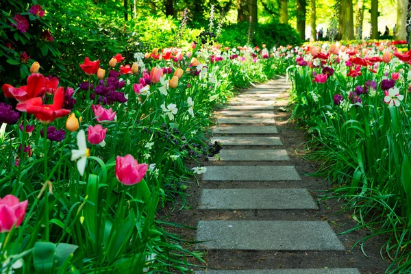 Jardín de primavera formal — Foto de Stock