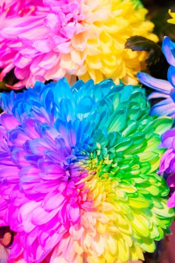 Doğal çiçek arkaplanı