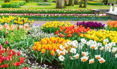 Resmi bahar bahçesi