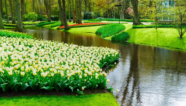 정원에 있는 봄 연못 — 스톡 사진
