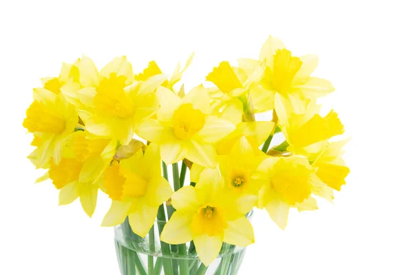 Bouquet of daffodils flowers — Stock Photo, Image