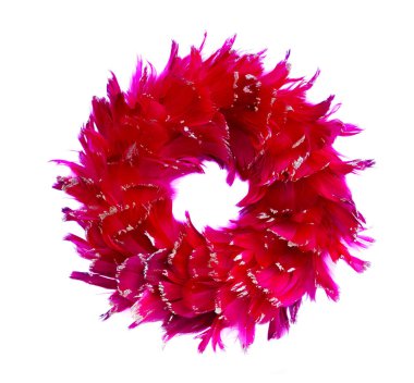 Tüylerden yapılmış renkli desen.