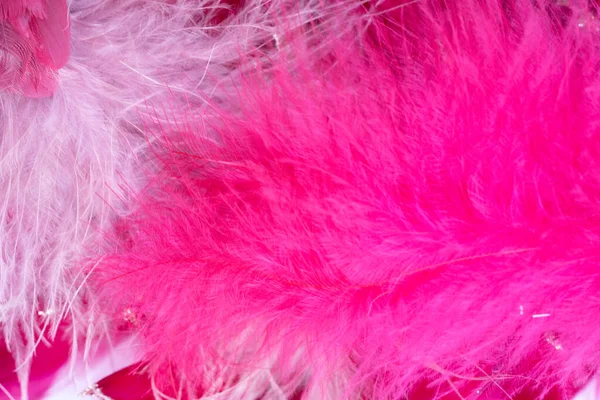 pink feathers background