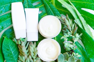 yeşil yemyeşil kozmetik ürünleri