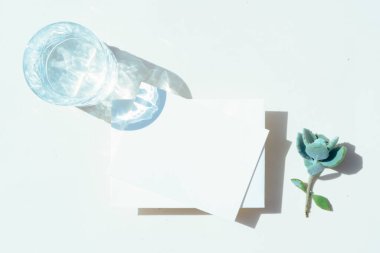 Yaz kırtasiyesi taklit sahnesi.