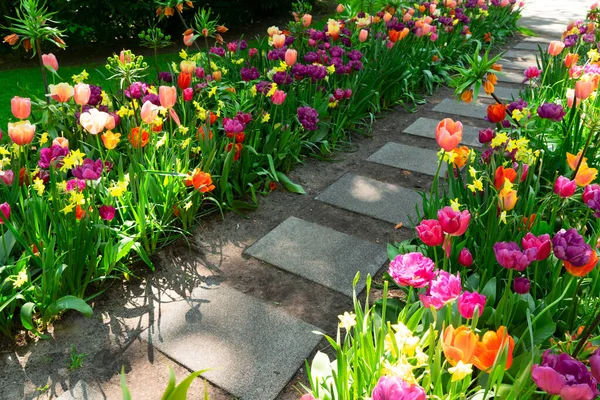 Formeller Frühlingsgarten — Stockfoto