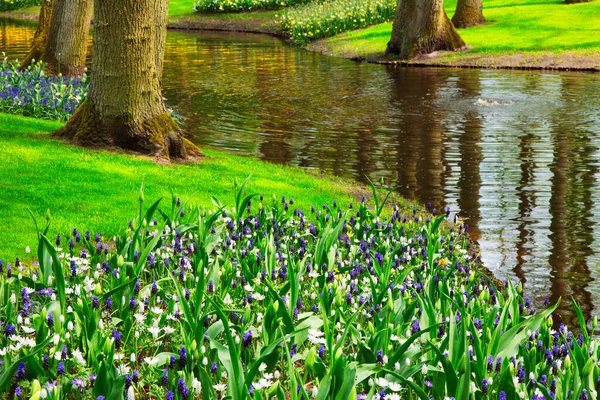 Bron vijver in park — Stockfoto