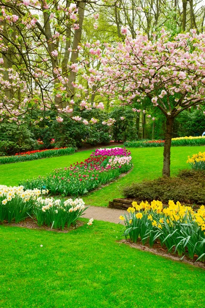Jardín de primavera formal — Foto de Stock