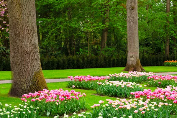 Gramado fresco com flores — Fotografia de Stock