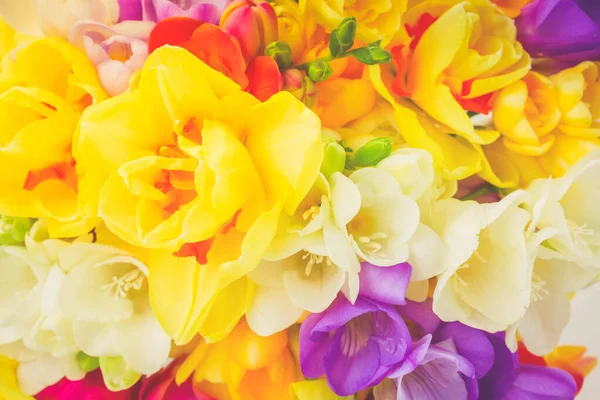 Lente bloemen close up — Stockfoto