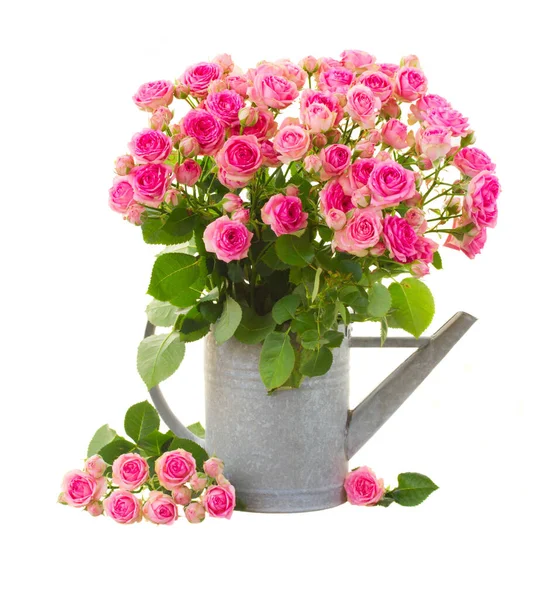 Heap of fresh pink roses — Stock Photo, Image