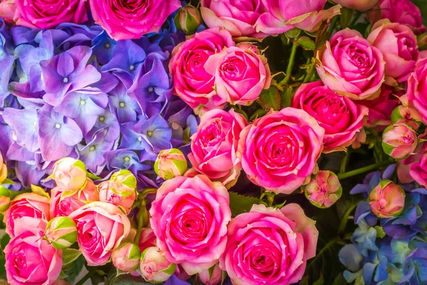 Букет свежих розовых роз и голубых гортензий цветов — стоковое фото