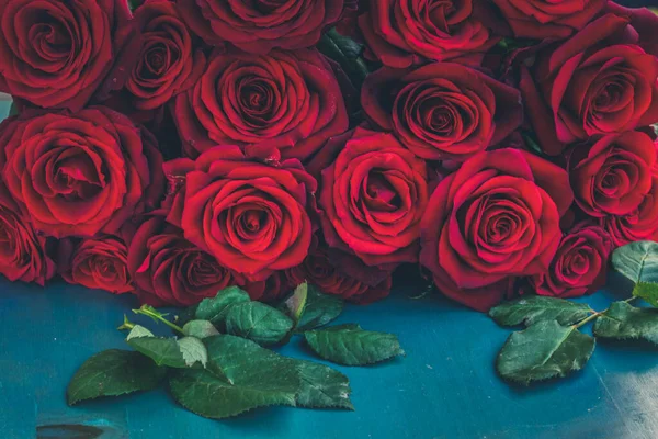Čerstvé červené růže na modrém stole — Stock fotografie