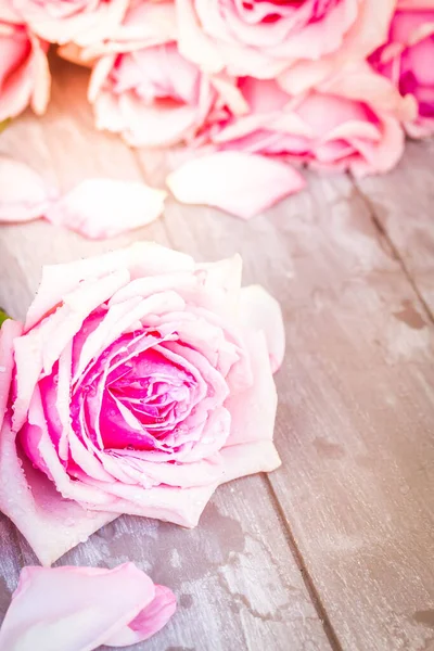 Roze rozen op tafel — Stockfoto