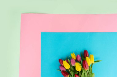 Pembe, porsuk ve mor lale çiçekleri.