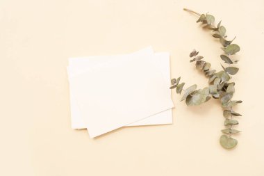 Yaz kırtasiyesi taklit sahnesi.