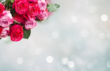 Pembe çiçeklerin sınırı