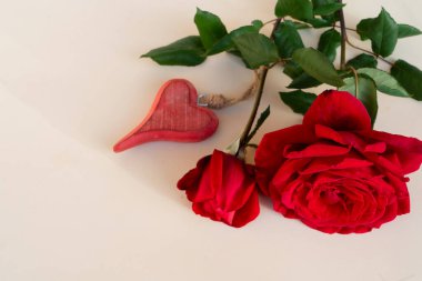 Masada koyu kırmızı güller