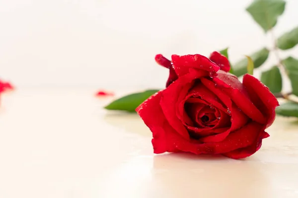 Dark red roses on table — Stock Photo, Image